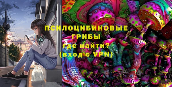 Альфа ПВП Богородск